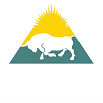 MSA Financial Services LLP